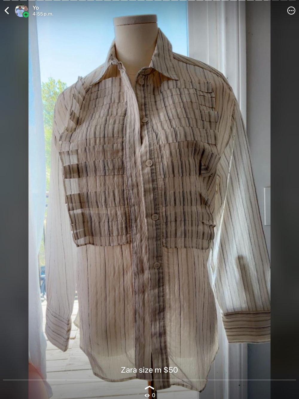 Zara Sheer Striped Button-Down Shirt - Cream & Black